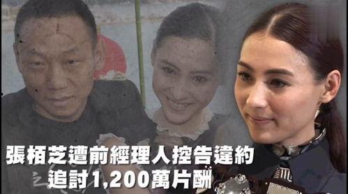 娱乐吃瓜的本质是啥,一场全民参与的狂欢盛宴