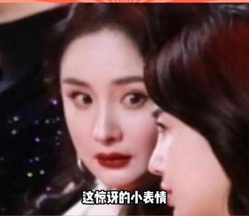 娱乐圈吃瓜被证实的小说