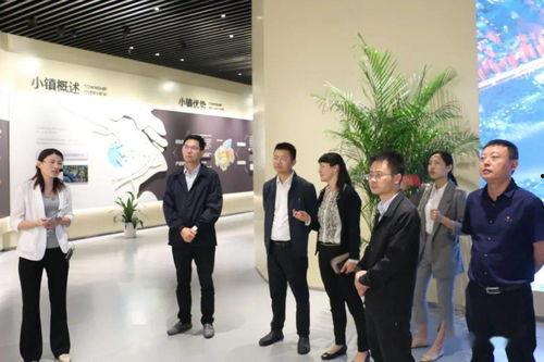 娱乐吃瓜酱评论区怎么进,如何轻松进入瓜圈狂欢