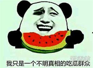 网络吃瓜是什么意思,揭秘虚拟世界中的围观文化