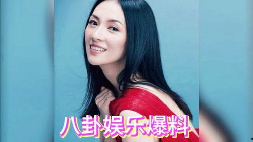吃瓜八卦娱乐圈小说,吃瓜群众揭秘明星背后的秘密