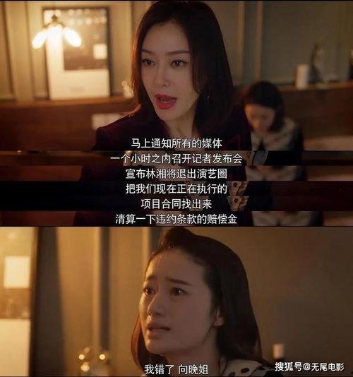 娱乐圈看小说吃瓜,小说吃瓜指南，揭秘明星幕后故事