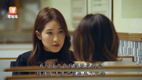 娱乐圈看小说吃瓜,小说吃瓜指南，揭秘明星幕后故事